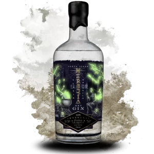 Herejía Santa Juana Dry Gin en un fondo artístico de bosques chilenos