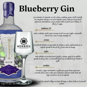 Ficha Técnica Herejía Blueberry Gin Premium Box