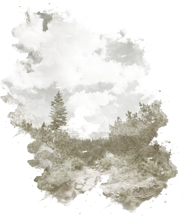 fondo de bosques chilenos, preparado para Herejía Dry Gin