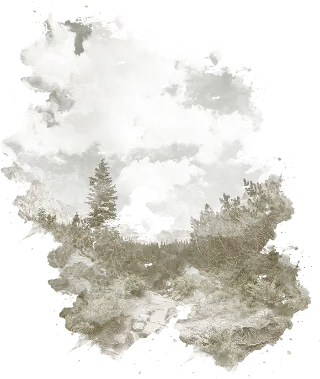 fondo de bosques chilenos, preparado para Herejía Dry Gin