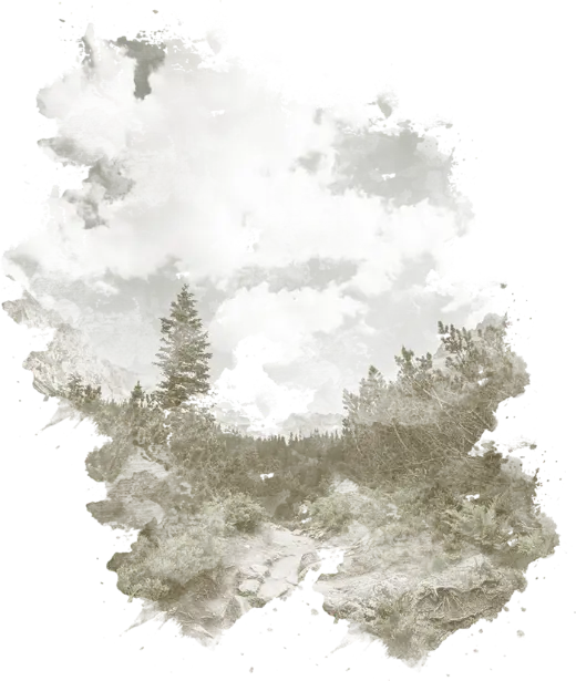 fondo de bosques chilenos, preparado para Herejía Dry Gin