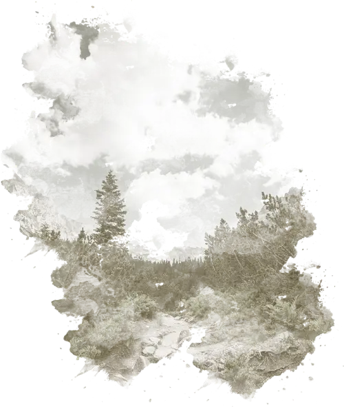 fondo de bosques chilenos, preparado para Herejía Dry Gin