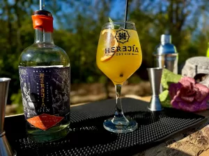 Copa de Receta Tropical Gin con Orland Dry Gin y garnish de naranja y menta, cóctel premium chileno refrescante y sofisticado.