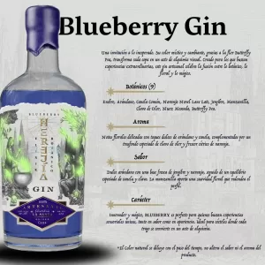Ficha Técnica Herejía Blueberry Gin