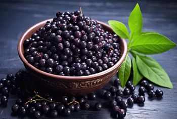 Maqui_Hechizos de Maqui_Herejía Dry Gin