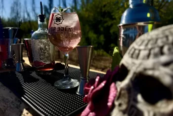 Receta gin tónica Ginxotic servida en copa premium Herejía, con fresas y hojas frescas, ideal para espíritus que buscan lo extraordinario.