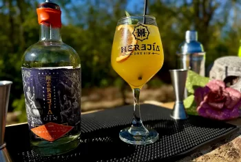Copa de Receta Tropical Gin con Orland Dry Gin y garnish de naranja y menta, cóctel premium chileno refrescante y sofisticado.